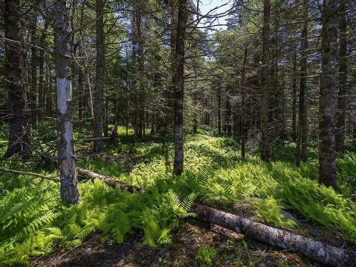 14 Killiam Forest Road, Ireton, NS 