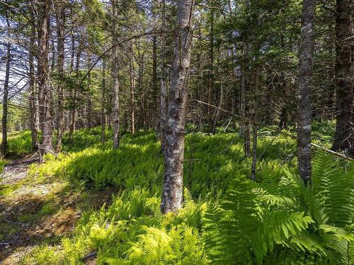 14 Killiam Forest Road, Ireton, NS 