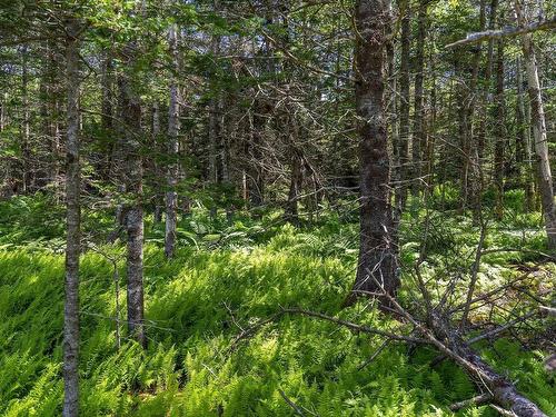 14 Killiam Forest Road, Ireton, NS 