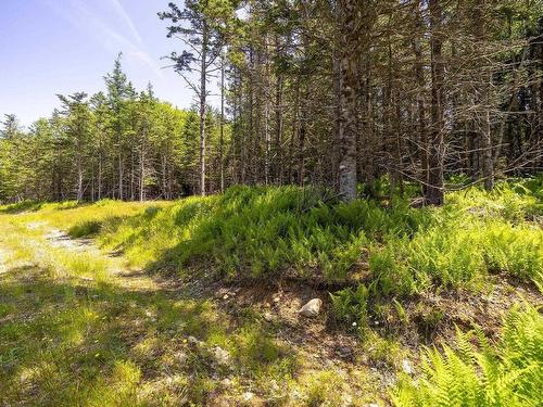 14 Killiam Forest Road, Ireton, NS 