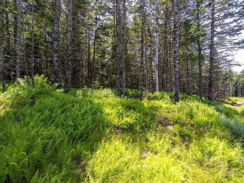 14 Killiam Forest Road, Ireton, NS 