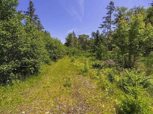 14 Killiam Forest Road, Ireton, NS 