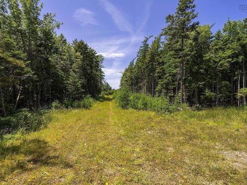 14 Killiam Forest Road, Ireton, NS 