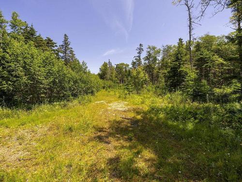 14 Killiam Forest Road, Ireton, NS 