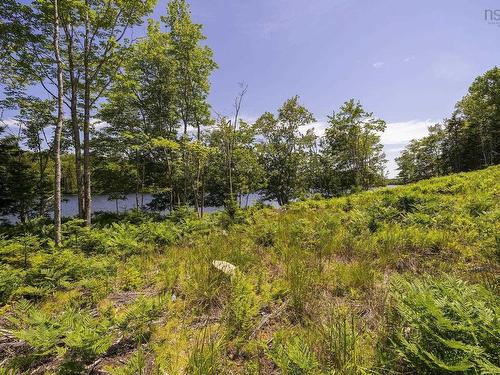 14 Killiam Forest Road, Ireton, NS 