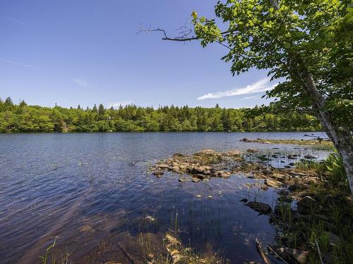 14 Killiam Forest Road, Ireton, NS 