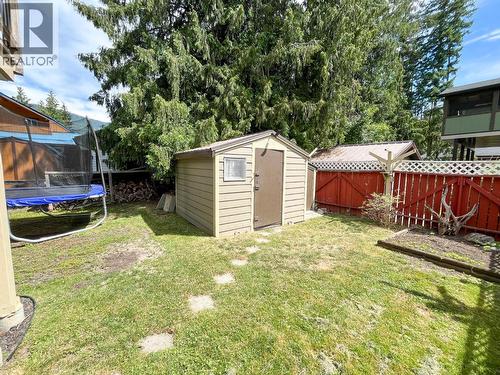 Backyard - 510 Cedar Street, Sicamous, BC - Outdoor With Exterior