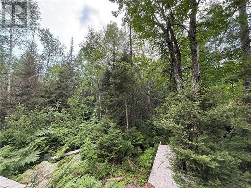 181 Grassy Lake Road, Whitefish, ON 