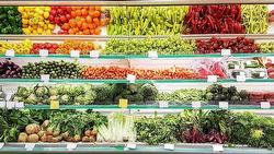 9196 160 STREET  Surrey, BC V4N 3E4