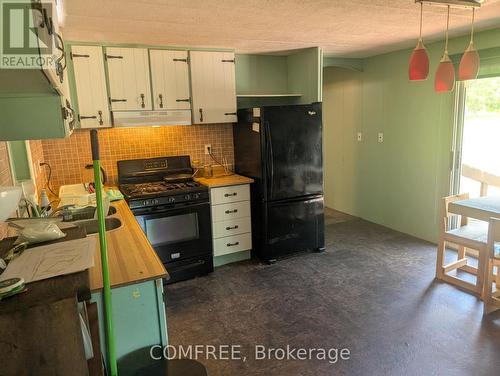 38 Boulter Lake Road, Hastings Highlands (Mcclure Ward), ON - Indoor Photo Showing Kitchen