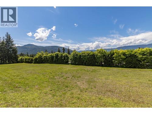 3851 10 Avenue Se, Salmon Arm, BC - Outdoor With View