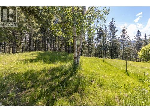 3851 10 Avenue Se, Salmon Arm, BC - Outdoor With View