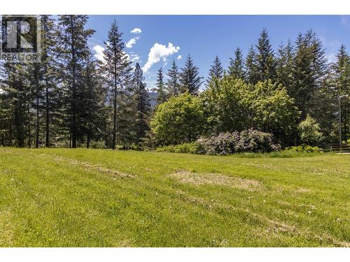 3851 10 Avenue Se, Salmon Arm, BC - Outdoor With View