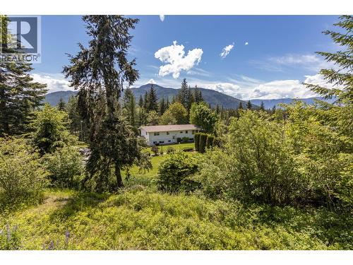 3851 10 Avenue Se, Salmon Arm, BC - Outdoor With View