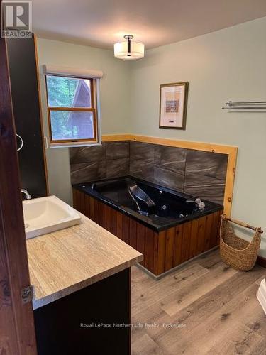 693 Sandy Island, West Nipissing (North Monetville), ON - Indoor Photo Showing Bathroom