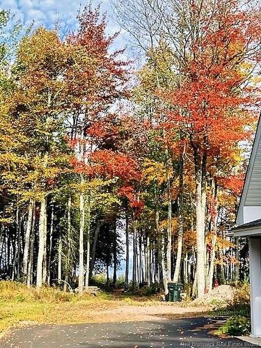 120 Hayesey Lane, Whites Cove, NB 