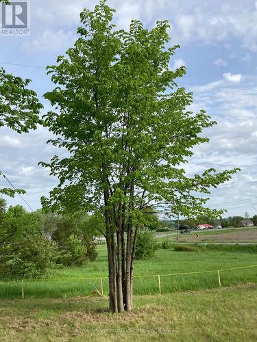 00 South Shore Road, Greater Napanee, ON 