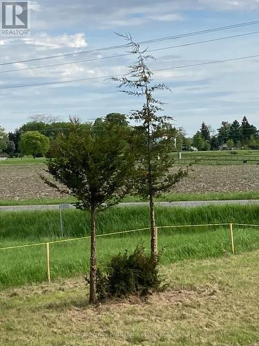 00 South Shore Road, Greater Napanee, ON 