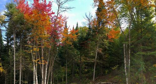 Extérieur - 74 Imp. Du Cerf, Lac-Supérieur, QC - Outdoor With View