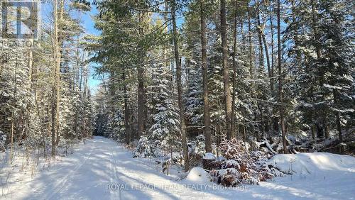 Road/driveway. Cabin in clearing RT. - 00 Highway 41 Highway, Bonnechere Valley, ON 