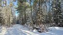 Road/driveway. Cabin in clearing RT. - 00 Highway 41 Highway, Bonnechere Valley, ON 