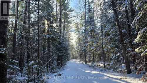 Road/driveway - 00 Highway 41 Highway, Bonnechere Valley, ON 