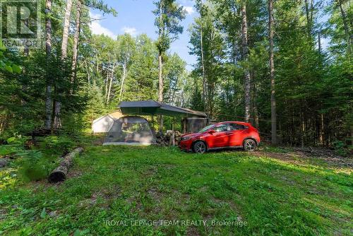 Clearing for parking - 00 Highway 41 Highway, Bonnechere Valley, ON 