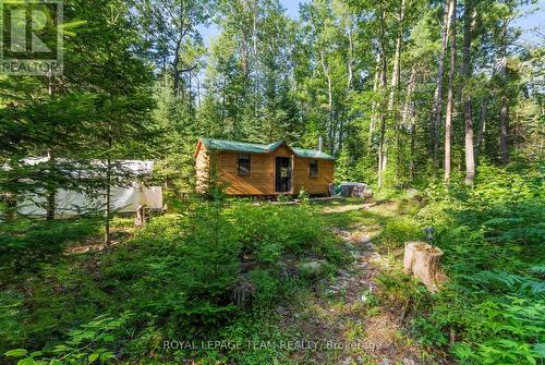 Cabin tucked away - 00 Highway 41 Highway, Bonnechere Valley, ON 