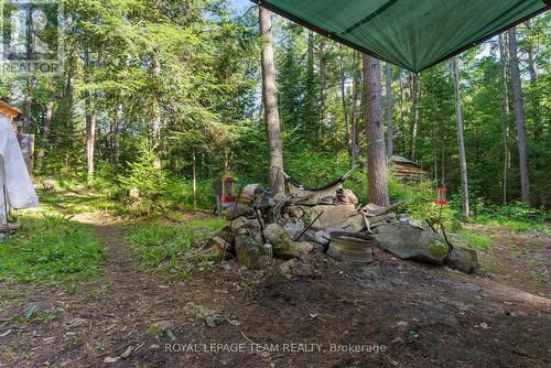 Path to cabin LT, outhouse RT - 00 Highway 41 Highway, Bonnechere Valley, ON 