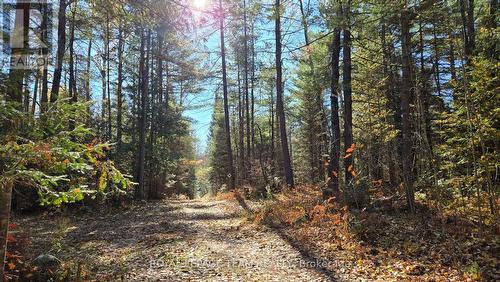 00 Highway 41 Highway, Bonnechere Valley, ON 