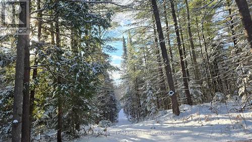 00 Highway 41 Highway, Bonnechere Valley, ON 