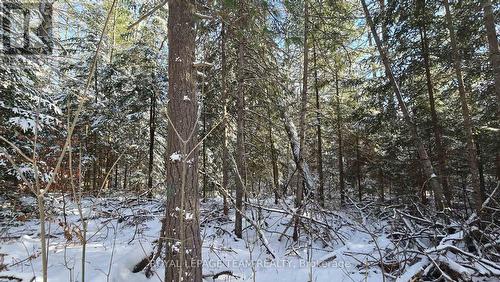 00 Highway 41 Highway, Bonnechere Valley, ON 