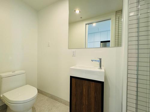 Bathroom - 5106-1210 Rue Jeanne-Mance, Montréal (Ville-Marie), QC - Indoor Photo Showing Bathroom