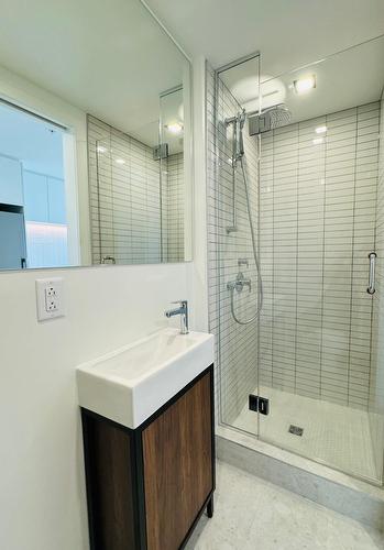 Bathroom - 5106-1210 Rue Jeanne-Mance, Montréal (Ville-Marie), QC - Indoor Photo Showing Bathroom