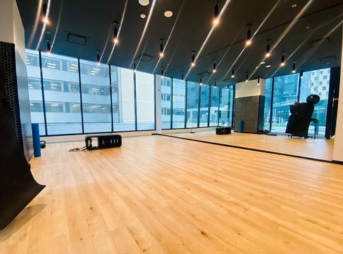 Exercise room - 5106-1210 Rue Jeanne-Mance, Montréal (Ville-Marie), QC - Indoor Photo Showing Other Room