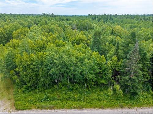 - Lloyd Rd, Miramichi, NB 