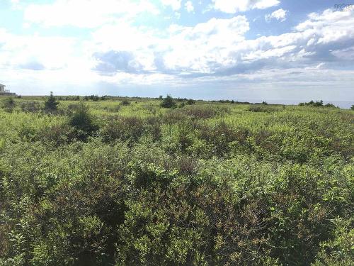 Cabot Trail, Cap Le Moine, NS 