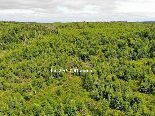 Lot 3 Rear Big Cove Road, Soldiers Cove, NS 