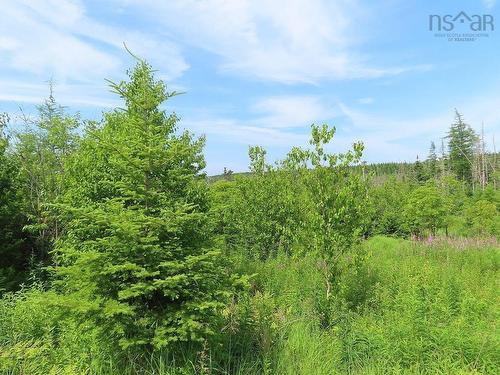 Lot 3 Rear Big Cove Road, Soldiers Cove, NS 