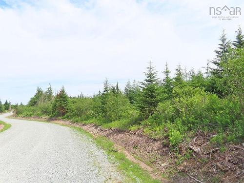 Lot 3 Rear Big Cove Road, Soldiers Cove, NS 