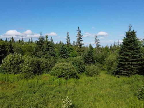Black River Road, Grande Anse, NS 