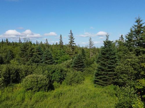 Black River Road, Grande Anse, NS 