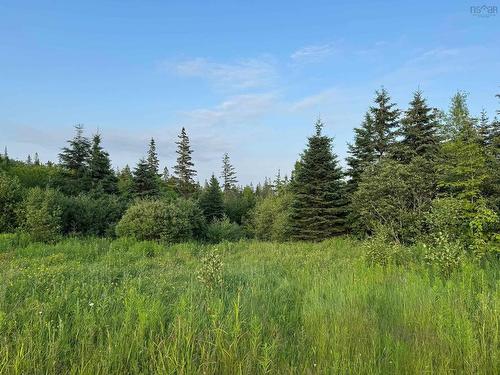 Black River Road, Grande Anse, NS 