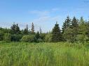 Black River Road, Grande Anse, NS 