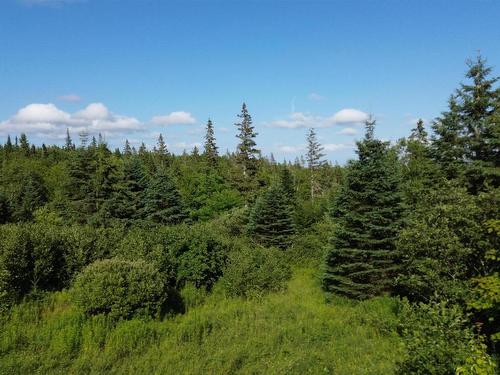 Black River Road, Grande Anse, NS 