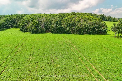 716450 1St Line N/A E, Mulmur, ON 