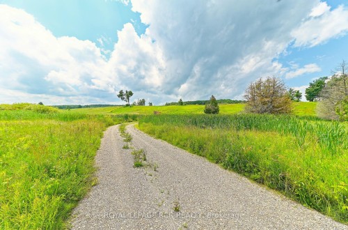 716450 1St Line N/A E, Mulmur, ON 