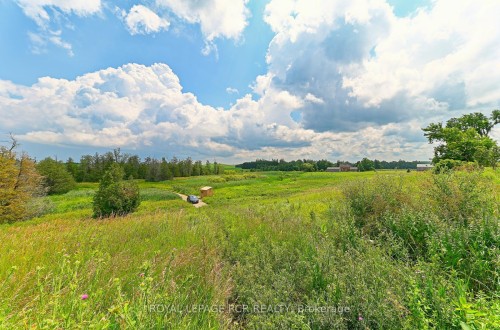 716450 1St Line N/A E, Mulmur, ON 