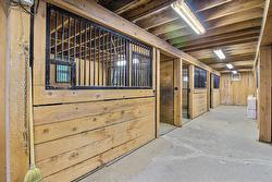 Stable - 