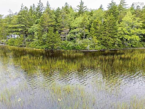 Lot 1 Highway 1, Grosses Coques, NS 